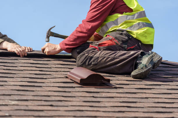 Best Local Roofing Companies  in Bridgeville, DE